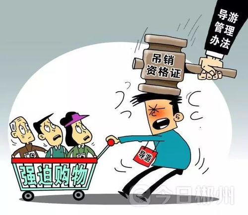 今日起，旅游購物、外賣餐飲服務迎來新法規實施