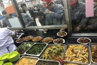 關愛員工暖人心，圣雄能源后勤服務中心多措并舉提升餐飲服務質量